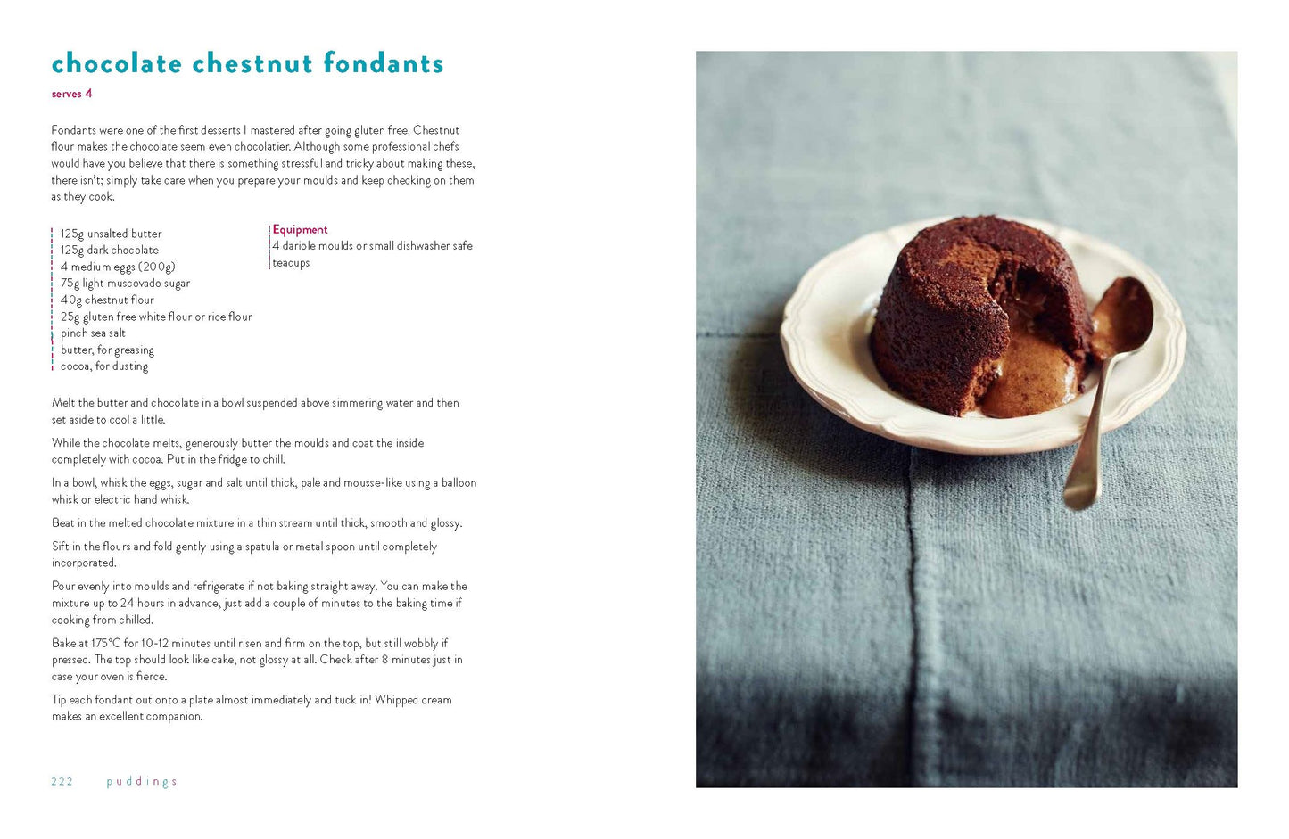 River Cottage Gluten Free Cookbook Naomi Devlin | The Free-From Bookshop